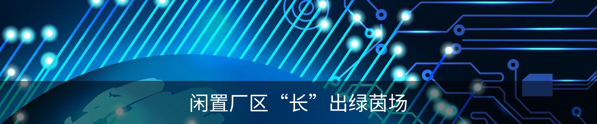 新闻动态